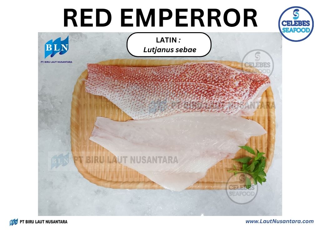 Red Emperor Fillet Skin On